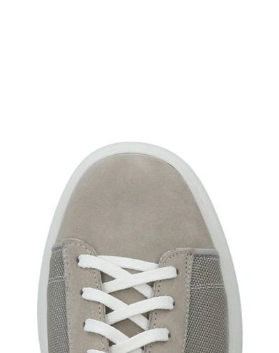 Shop Alberto Guardiani Sneakers In Beige