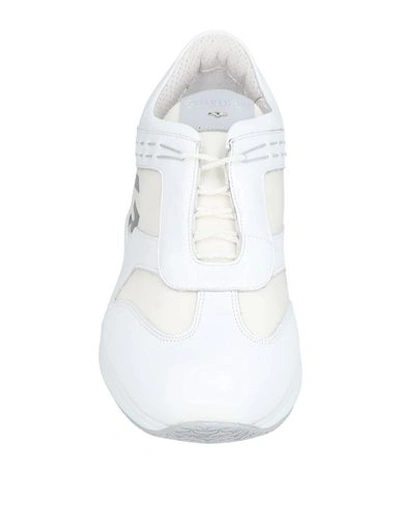 Shop Alberto Guardiani Sneakers In White