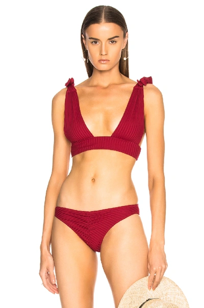 Shop Cali Dreaming Gaia Bikini Top In Red
