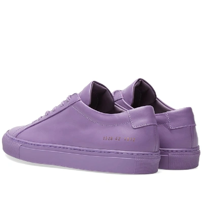 Shop Common Projects Original Achilles Low In Purple