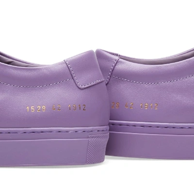 Shop Common Projects Original Achilles Low In Purple