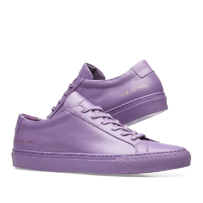 Common Projects Purple Achilles Leather Sneakers | ModeSens