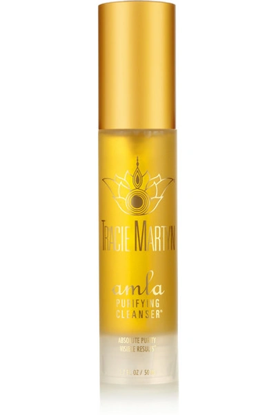 Shop Tracie Martyn Amla Purifying Cleanser, 50g In Colorless