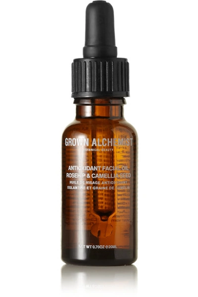 Shop Grown Alchemist Antioxidant Facial Oil, 20ml In Colorless