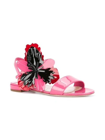 Shop Miu Miu Flower Appliqué Sandals In F0k9z