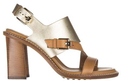 Shop Tod's Women's Leather Heel Sandals T90 Fibbie In Brown