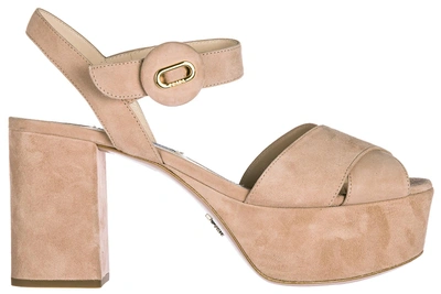 Shop Prada Women's Suede Heel Sandals In Pink