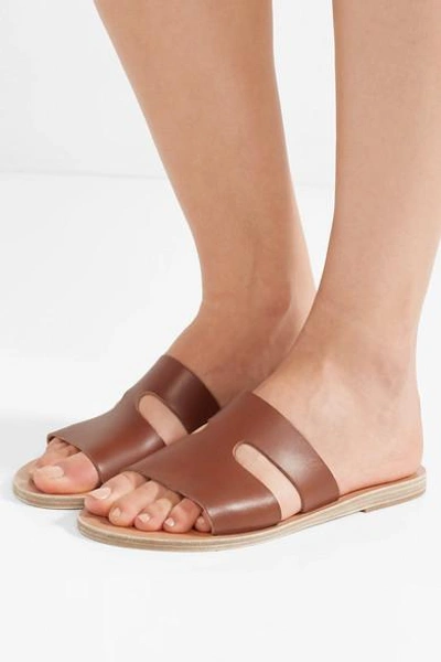 Shop Ancient Greek Sandals Apteros Cutout Leather Slides In Brown