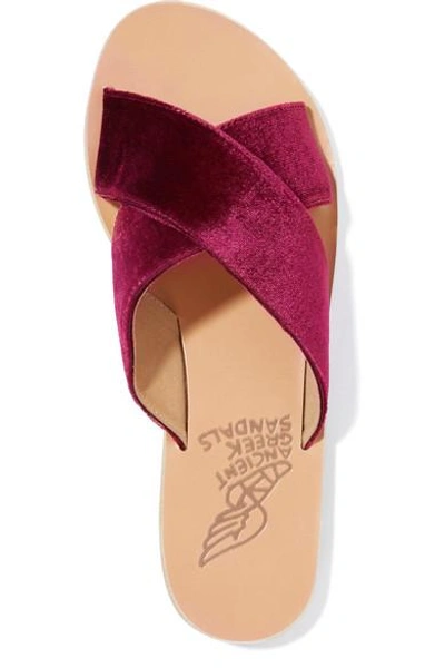 Shop Ancient Greek Sandals Thais Velvet And Leather Slides In Plum