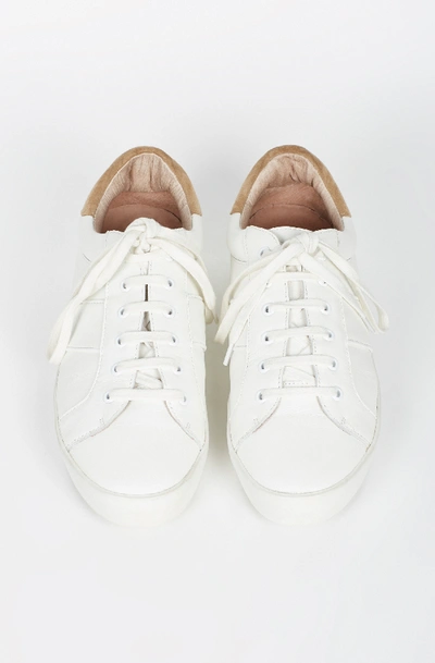 Shop Joie Dakota Sneaker In White-cement
