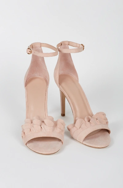 Shop Joie Abigail Suede Heel In Ballet