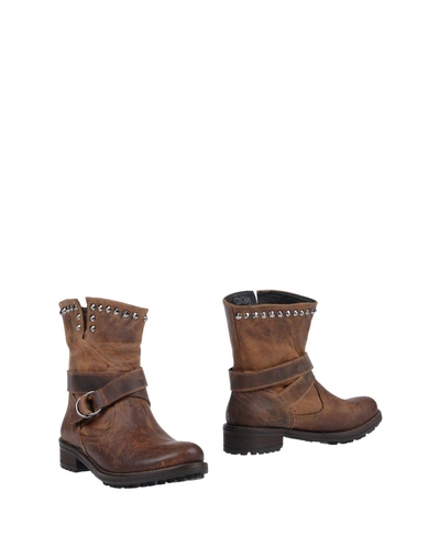 Shop Chiara Ferragni Ankle Boots In Brown