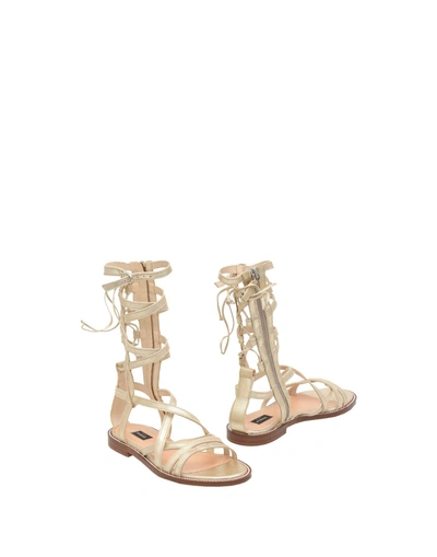 Shop Pinko Sandals In Gold