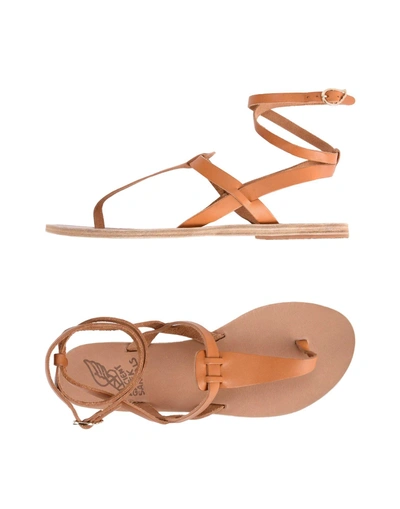 Shop Ancient Greek Sandals Flip Flops In Tan