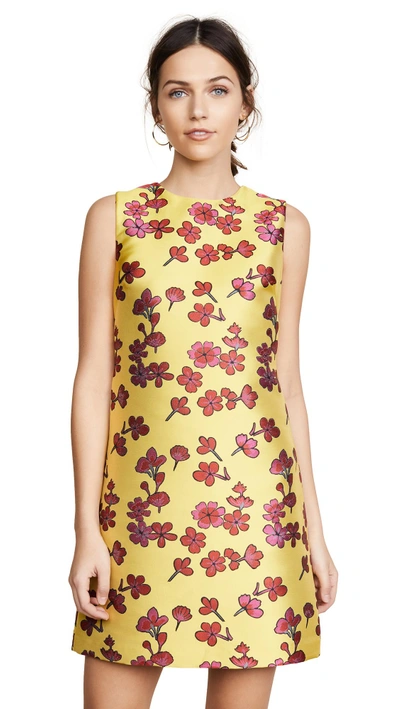 Shop Alice And Olivia Coley Dress In Sunflower/poppy