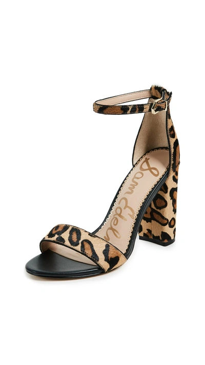Shop Sam Edelman Yaro Sandals In New Nude Leopard