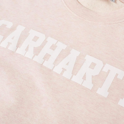 Shop Carhartt College Sweat In Pink