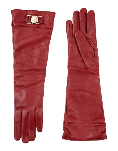 Shop Versace Gloves In Maroon
