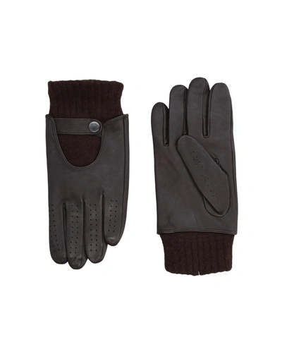 Shop Versace Gloves In Dark Brown