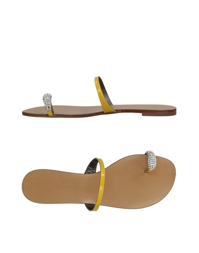 Shop Giuseppe Zanotti Flip Flops In Yellow