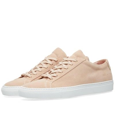Shop Common Projects Woman By  Original Achilles Low Suede In Pink
