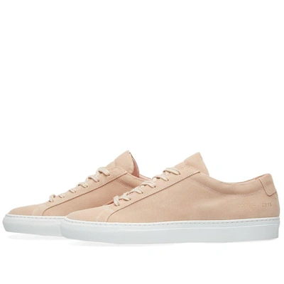 Shop Common Projects Woman By  Original Achilles Low Suede In Pink