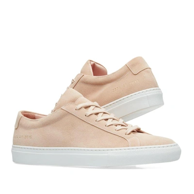 Shop Common Projects Woman By  Original Achilles Low Suede In Pink