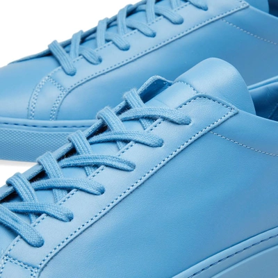 Shop Common Projects Woman By  Original Achilles Low In Blue