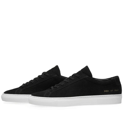 Shop Common Projects Woman By  Original Achilles Low Suede In Black