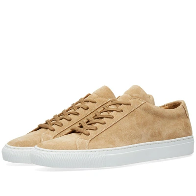 Shop Common Projects Woman By  Original Achilles Low Suede In Grey