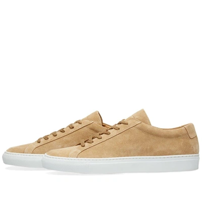 Shop Common Projects Woman By  Original Achilles Low Suede In Grey