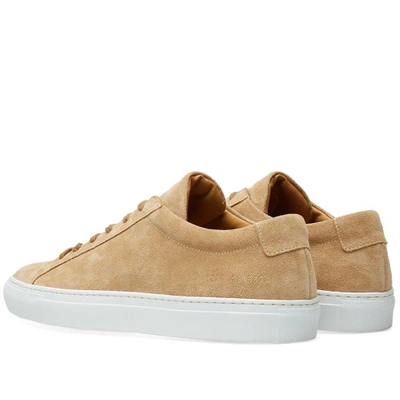 Shop Common Projects Woman By  Original Achilles Low Suede In Grey