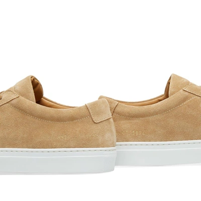 Shop Common Projects Woman By  Original Achilles Low Suede In Grey