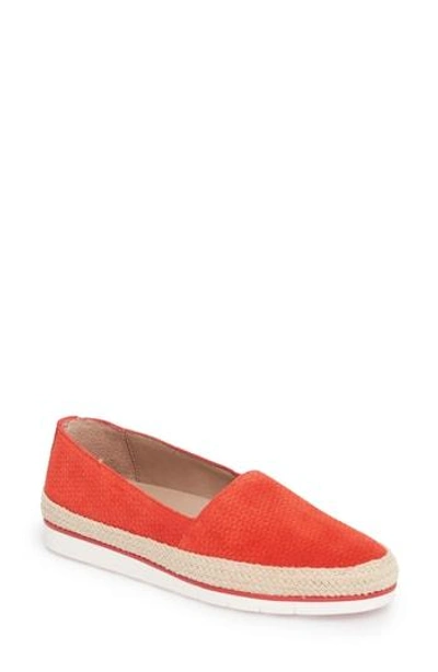 Shop Donald Pliner Palm Slip-on Sneaker In Poppy Suede