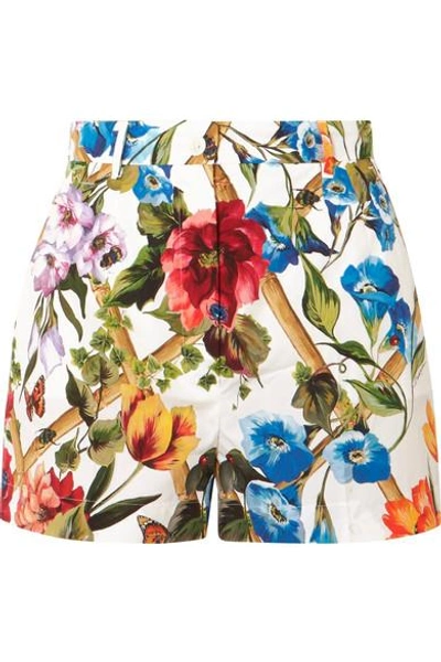 Shop Dolce & Gabbana Floral-print Cotton-poplin Shorts In White