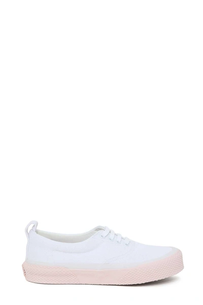 Shop Celine Sneaker In Bianco-rosa