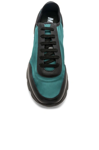 Shop Marni Lace Up Sneakers In Green