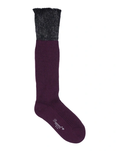 Shop Dsquared2 Socks & Tights In Purple