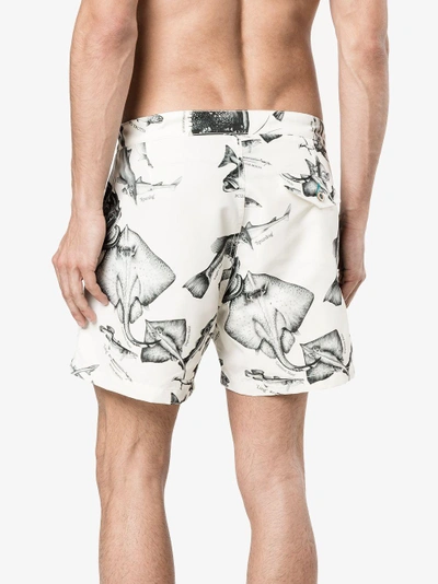Shop Riz Boardshorts Riz Fish Print Buckler Swim Shorts In Nude&neutrals