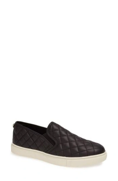 Shop Steve Madden 'ecentrcq' Sneaker In Black Faux Leather