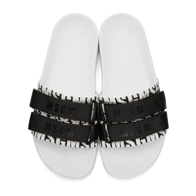 Shop Msgm White And Black Velcro Pool Slides In 305.wht.blk