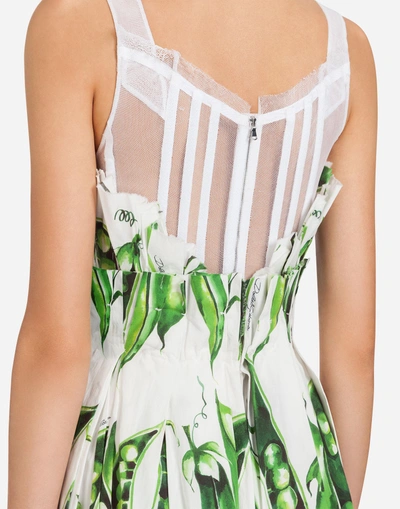 Shop Dolce & Gabbana Printed Cotton Dress In Cream