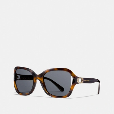 Shop Coach Signature Hardware Sunglasses - Women's In Dark Tortoise