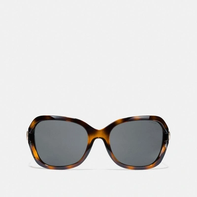 Shop Coach Signature Hardware Sunglasses - Women's In Dark Tortoise