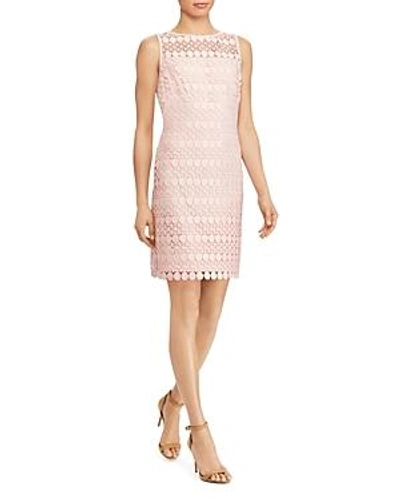 Shop Ralph Lauren Lauren  Petites Geo Lace Dress In English Rose