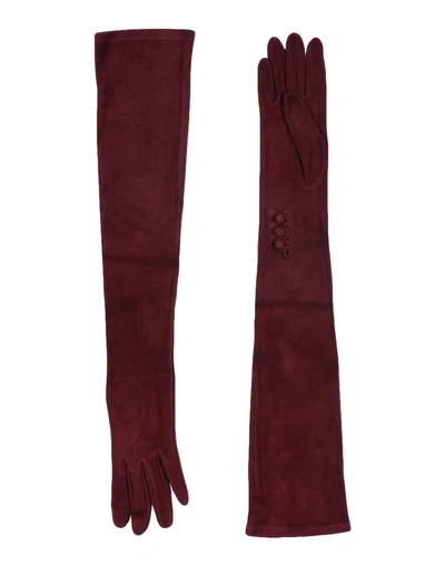 Shop Dsquared2 Gloves In Maroon
