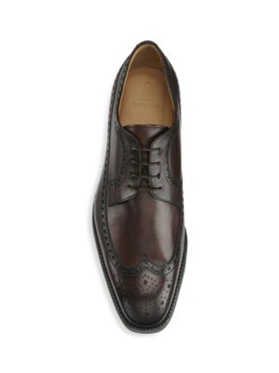 Shop Sutor Mantellassi Brogue Leather Derbys In Bracken