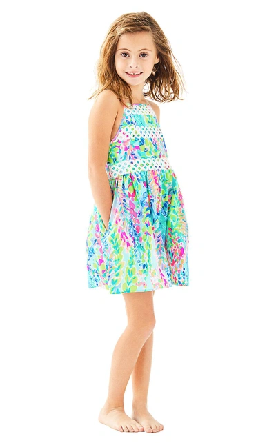 Lilly pulitzer elize dress sale