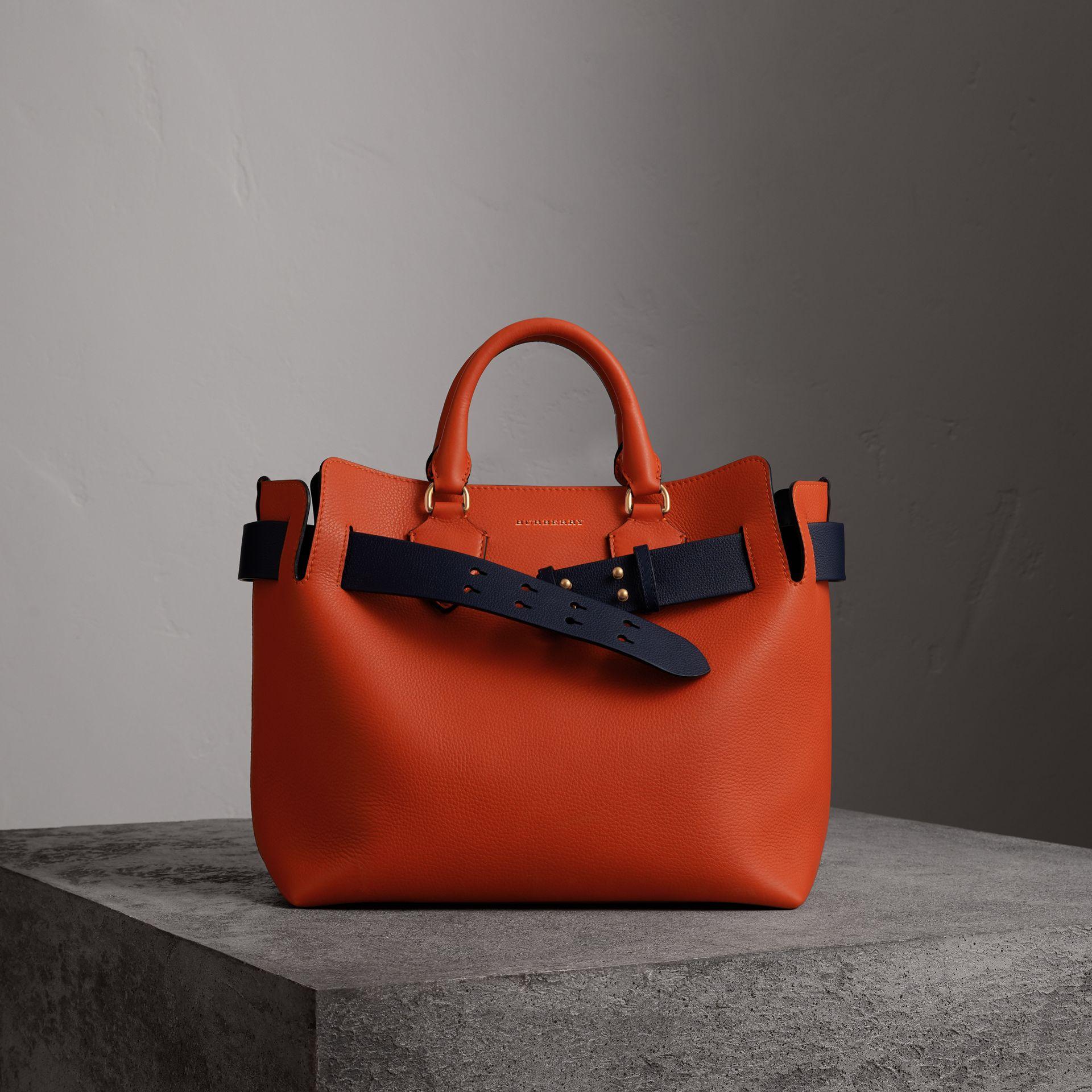 burberry medium leather belt bag