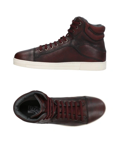 Shop Ferragamo Sneakers In Dark Brown